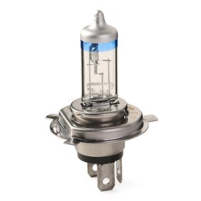 VW L80 BOSCH H4 bulb 1 987 301 106 | 60/55W | 3200K | 12V | P43t | GIGALIGHT